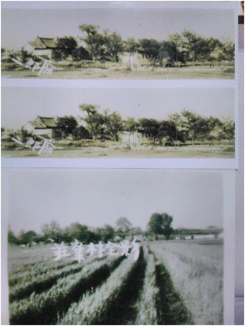 《史话曹妃故里》史海钩沉——八农场二郎庙探源