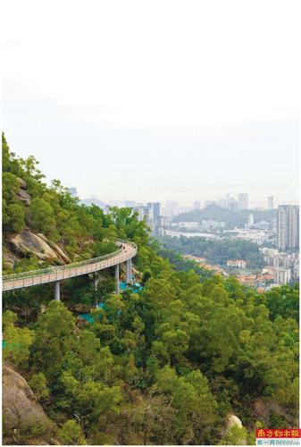 板樟山间 架起"天桥"