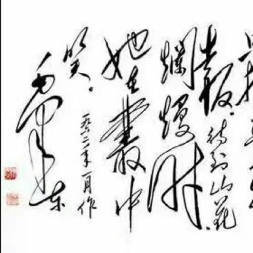 她在丛中笑1961的直播:放假了