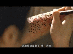 com 传说的故乡 芝麻女 zhan.renren.com