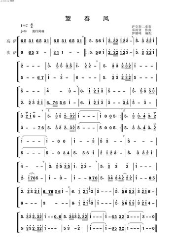 望春风 萨克斯二重奏