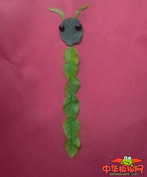 树叶拼一个简单小动物,蜈蚣树叶拼贴画