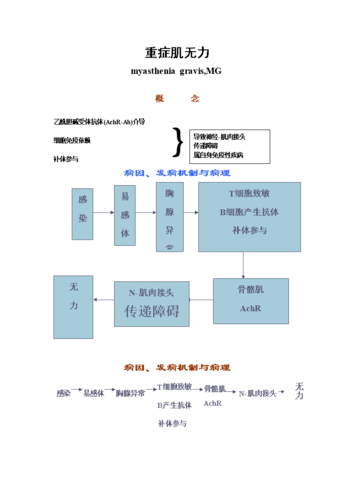 重症肌无力程序.doc