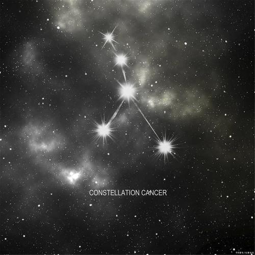 巨蟹座期待的爱情