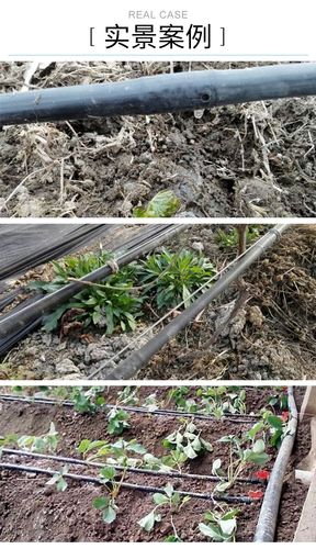 大棚温室灌溉葡萄滴灌16抗晒内镶圆柱滴灌管温室灌溉大棚滴灌
