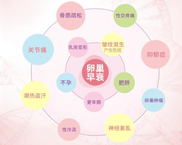 凤血vito干细胞修复卵巢功能