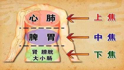 五脏六腑相生相克,皮肤病毛发问题,多半与"肺"有关