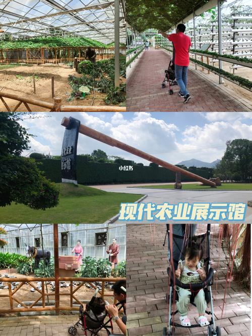 我们趁机旁听,回顾了一下初中生物和现代农业的相关知识98