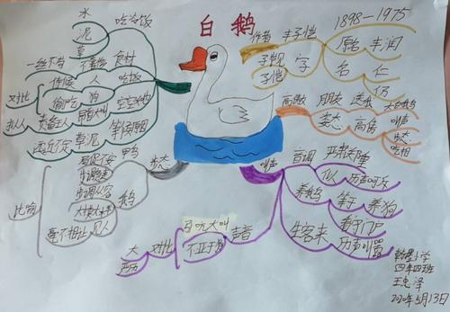 四年四班《白鹅》思维导图集