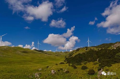 最美宾川——乌龙坝