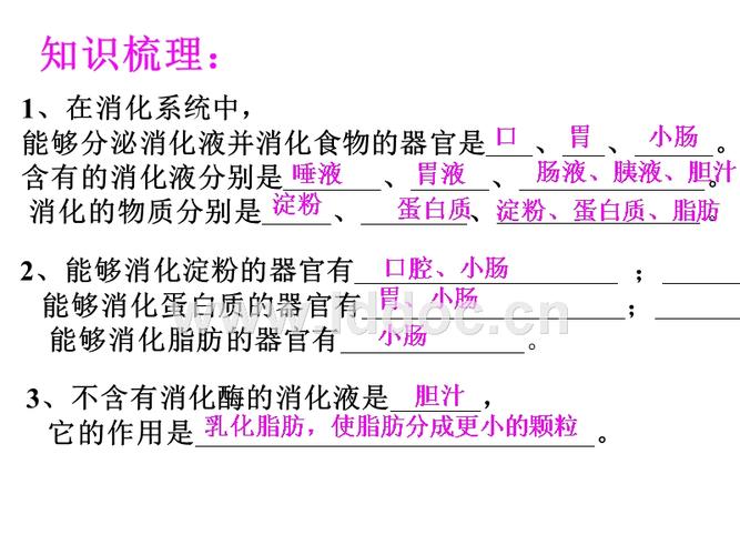 淀粉的消化是从.ppt