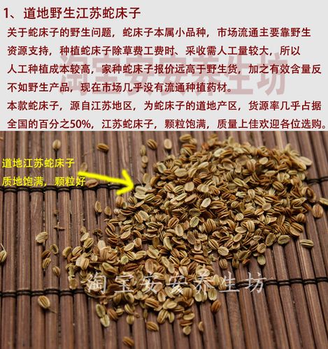 中药材蛇床子500克起发5斤包邮泡澡止痒 蛇床子500g 饱满药房诊所