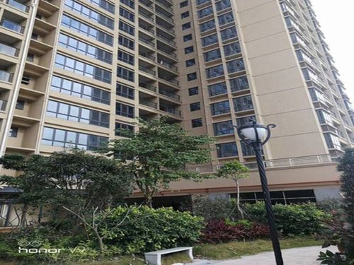 深圳小产权稀缺物业全新大型花园统建楼【坪山中心花园】