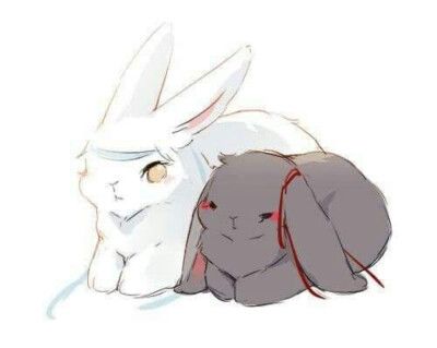 羡羡兔和忘机兔