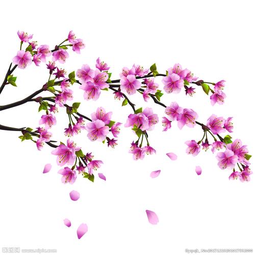 桃花图片
