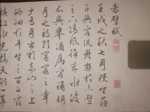 文征明前后赤壁赋水写布整卷毛笔书法清水练字帖