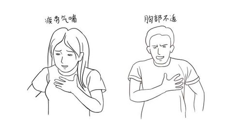 它有哪些类型?手绘漫画带你轻松了解