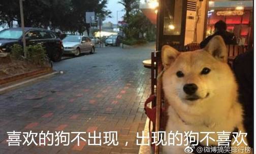 搞笑 正文 历史总是惊人的相似,今年又单身 单身狗保护协会会长祝你
