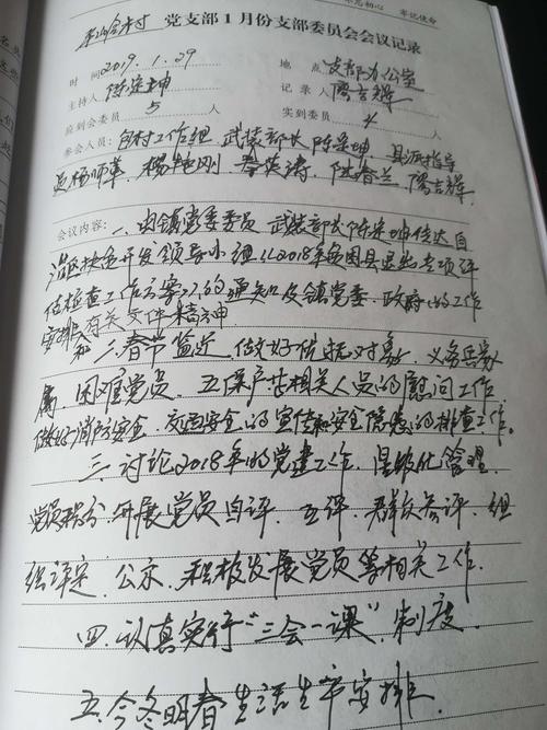 平岭村党支部委员会会议记录