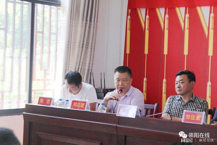 勇做乡村振兴"试验田" 崇阳县天城镇河田村启动建设新