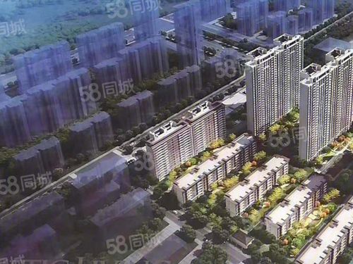 金科集美望湖公馆