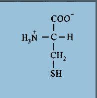 半胱氨酸的结构式是什么?
