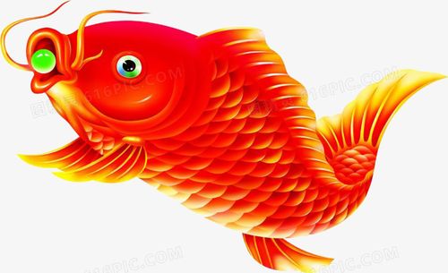 鲤鱼戏珠图片免费下载_png素材_编号192il9mwv_图精灵