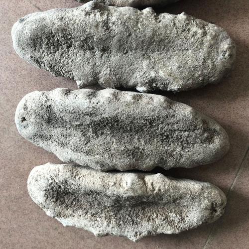 猪婆参澳洲猪婆参批发海参干货批 3头一斤熟度外形完好肉质有弹性