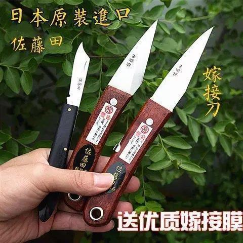 正品日本进口特级钢切接刀苗木嫁接刀园艺工具芽接刀
