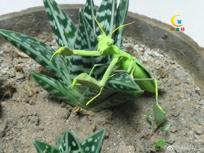 绿色的粘土螳螂玩偶手办欣赏