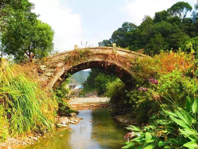 东吴生姜村的大涵山桥(唐,元明清重修,虎狼刀锋,独一无二的吸水神兽)