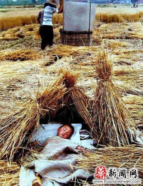 80后农村童年回忆80年代的农村样子回忆童年图片