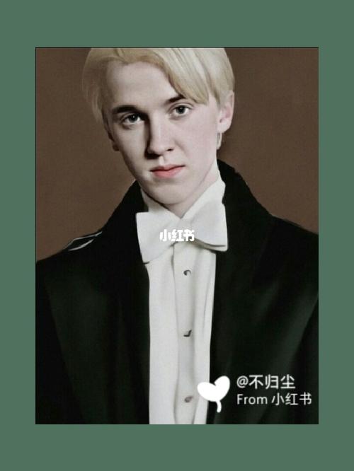 祝德拉科·马尔福少爷生日快乐_生日快乐_德拉科马尔福_娱乐_明星娱乐