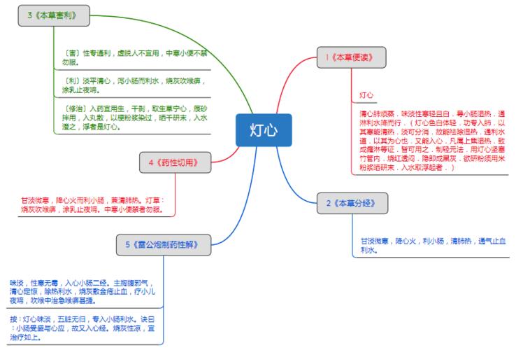 灯心_思维导图_中药学_药材来源详解.pdf 1页