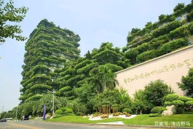 越南教授仅用两株植物,将5层楼改造成媲美碧桂园总部