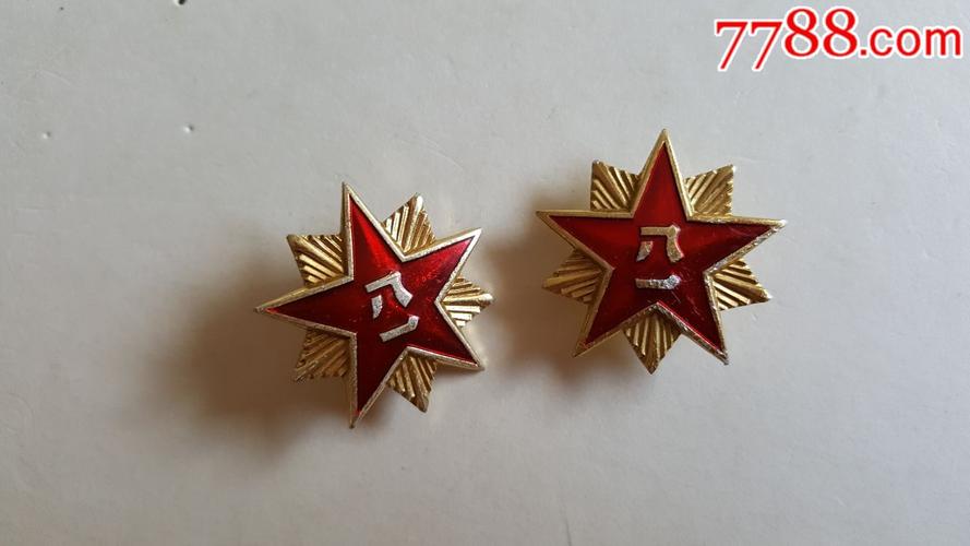 87式陆*军领花1对