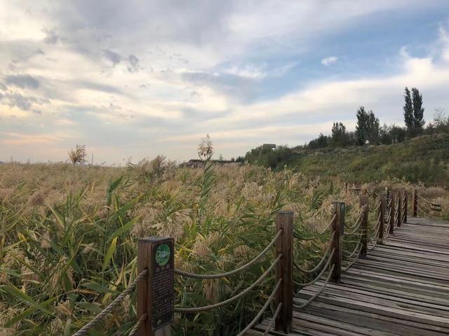 美丽新疆 玛纳斯国家湿地公园