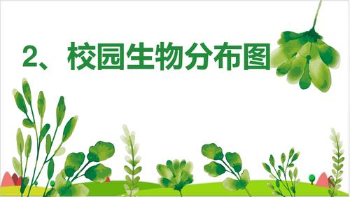 校园生物分布图》 教科版