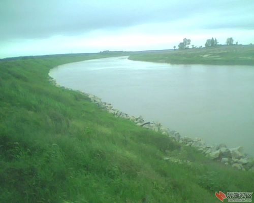 东荆河野游暨探访318复线大桥
