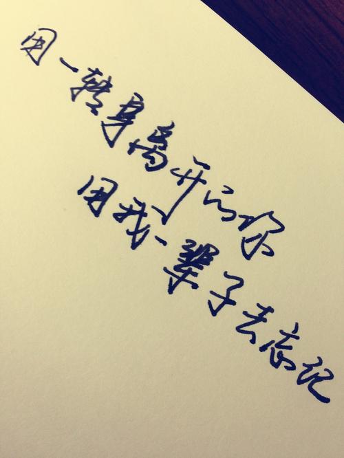 手写 文字 句子 歌词 唯美 文艺 郑智化 用我一辈子去忘记 哲理 短句