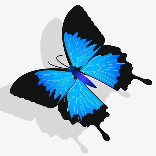 蓝色蝴蝶