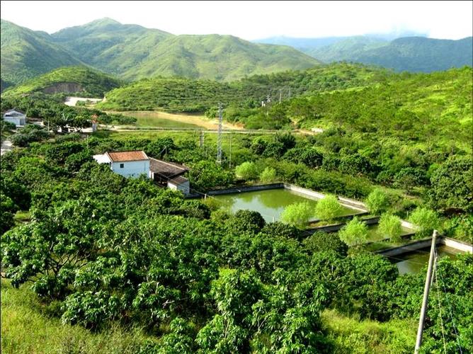 多祝镇位于广东省惠州市惠东县中部,是山区农业大镇,省级中心镇,距