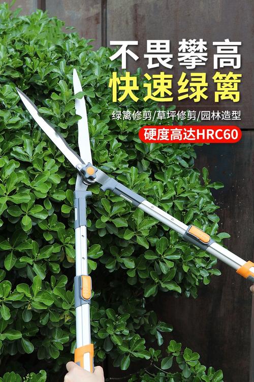 园艺大剪刀园林花剪修花修枝剪花木剪草修草坪绿篱剪强力修剪树枝标准