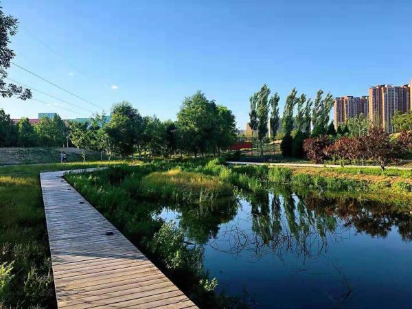 永兴河湿地公园迎来建成后的第一个春天