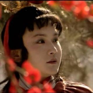 009-《红楼梦》87版插曲-紫菱洲歌