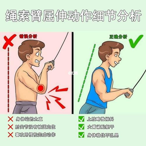 绳索臂屈伸动作细节分析_健身_运动健身_健身减肥