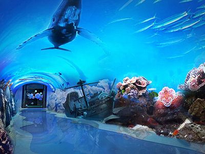 江西九江科技馆海洋馆