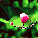 春暖花开,正是踏春好时节!