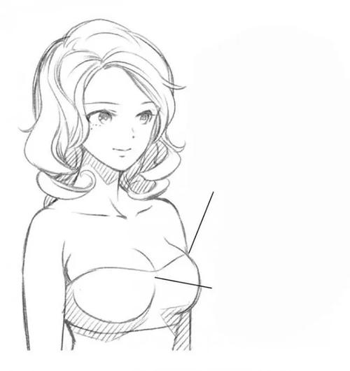 胸部怎么画女性的胸部画法