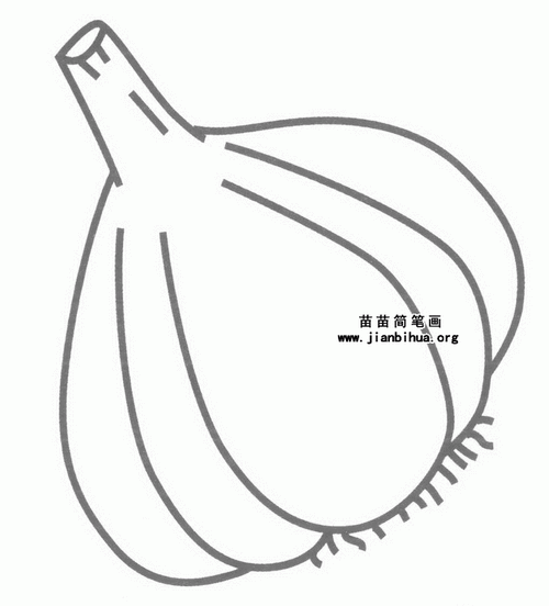 大蒜头简笔画图片,教程
